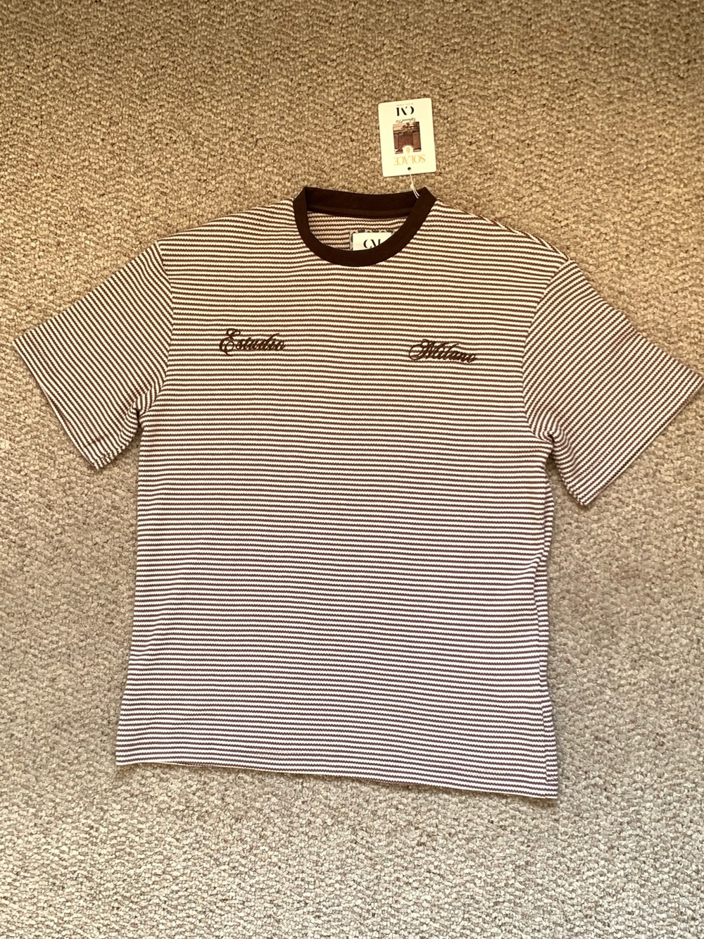 Striped Short-Sleeve Crewneck Tee in Brown & White